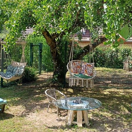 Studio Dans Belle Maison Ancienne Et Jardin Ferme L'Etoile  Exteriér fotografie