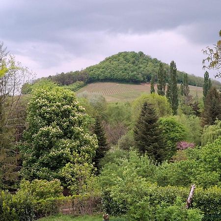 Studio Dans Belle Maison Ancienne Et Jardin Ferme L'Etoile  Exteriér fotografie