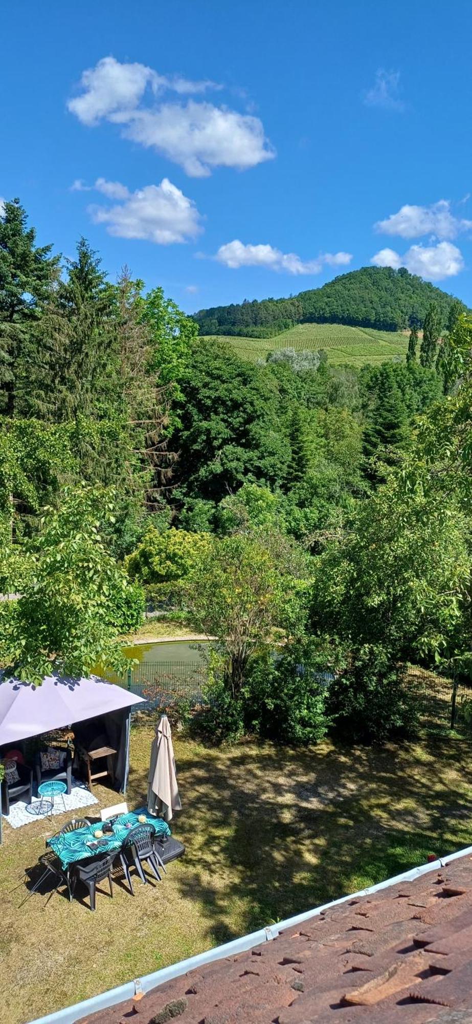 Studio Dans Belle Maison Ancienne Et Jardin Ferme L'Etoile  Exteriér fotografie