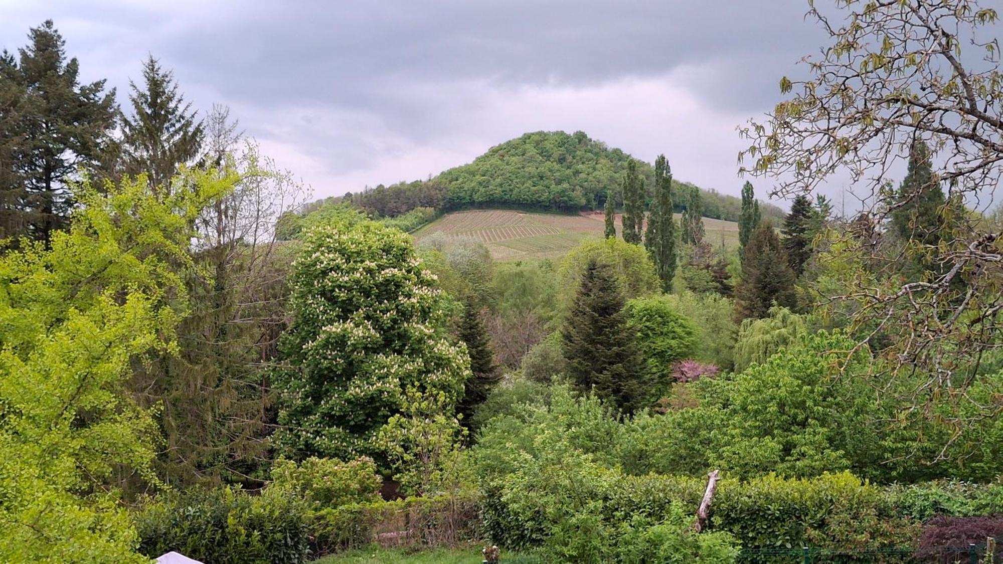 Studio Dans Belle Maison Ancienne Et Jardin Ferme L'Etoile  Exteriér fotografie